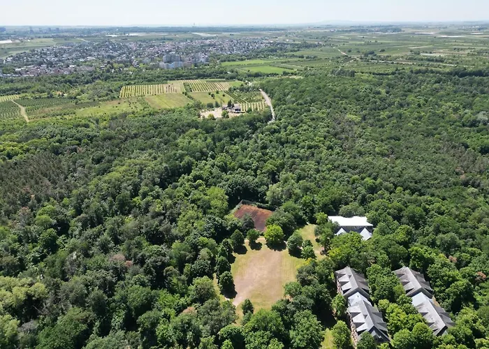 Ferienhaus Budenheim Apartamento Budenheim