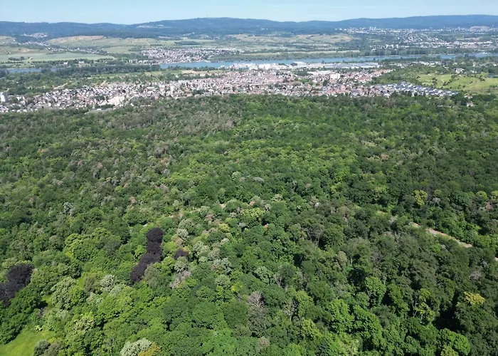 Apartamento Ferienhaus Budenheim Budenheim